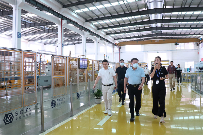 別墅家用電梯常用品牌較好？辛格林電梯是超好！